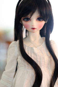 SD13 F-01