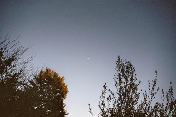 daytime moon by DrFuzz3899 on DeviantArt