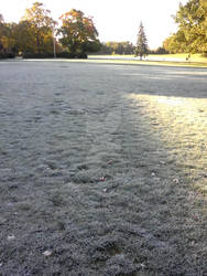 Frozen Field