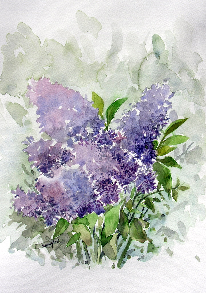 watercolor- Lilac