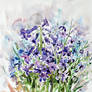 watercolor-hyacinth 4