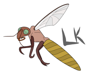 Crane Fly (AKA Mosquito Hawk). (Bugkiin)