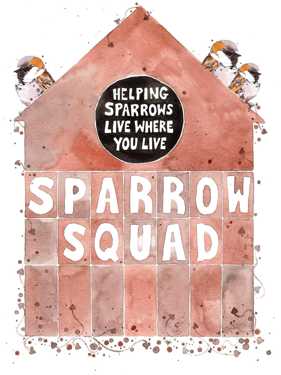 Sparrow Squad I