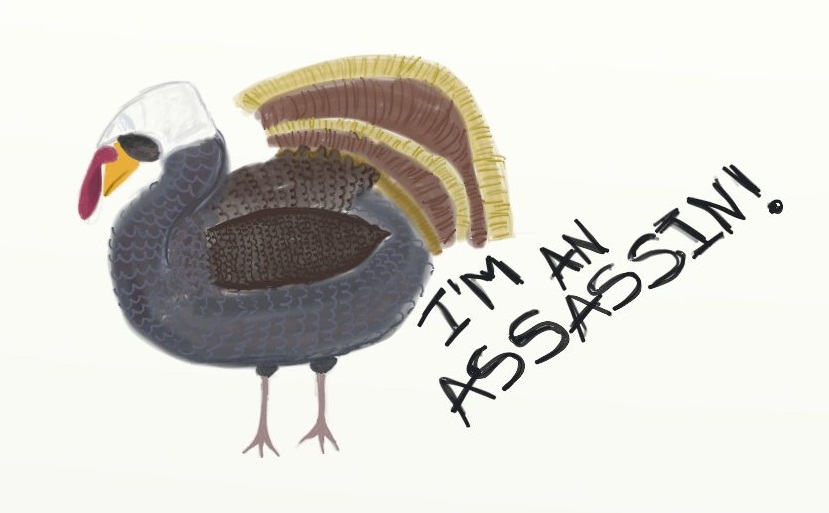 Assassin Turkey