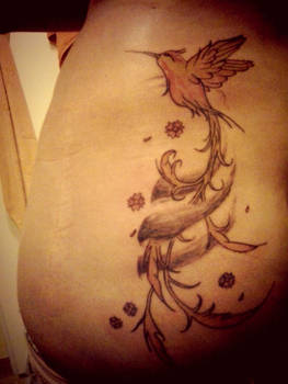 WIP - honeybird tattoo