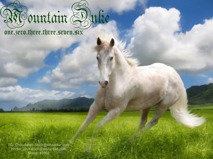 Mountain Duke by Lightning-1993 on DeviantArt