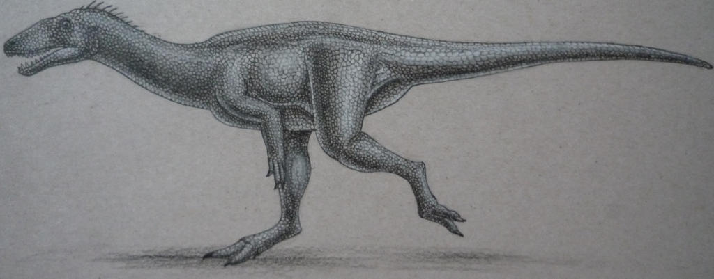 Guaibasaurus Candelariensis By Spinosaurus1915 On Deviantart Guaibasaurus Candelariensis By Spinosaurus1915 On Deviantart