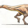 Tyrannosurus rex