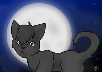 Graystripe by lilyzoe07