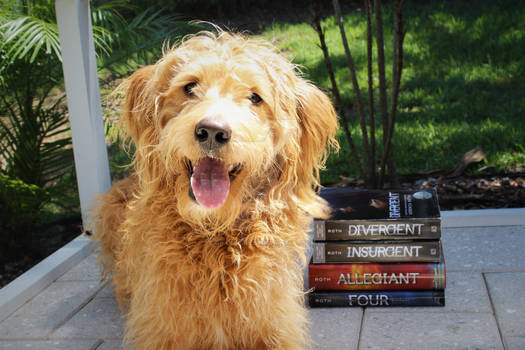 Puppy w/ books vers. 2