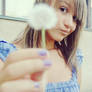 dandelion