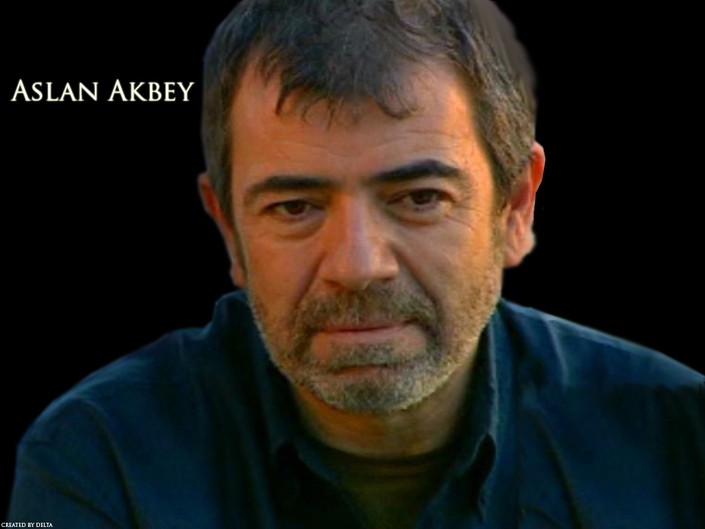 aslan amca by delta tr on deviantart