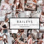 NEW  Mobile Lightroom Preset BAILEYS