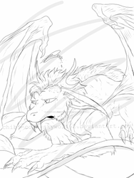 first dragon sketch 