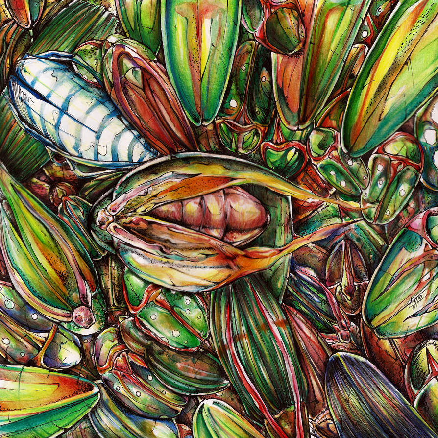 insects by RedSerafin insects by RedSerafin