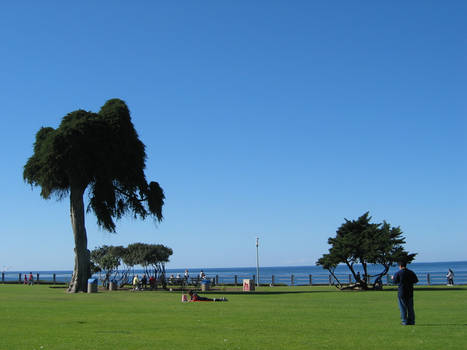 La Jolla cove