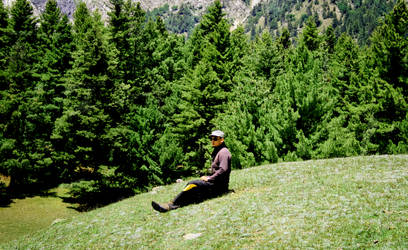 Fairy Meadows, Nanga parbat