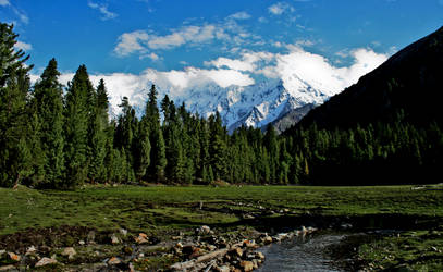 Nanga Parbat, View Point