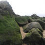 rocks