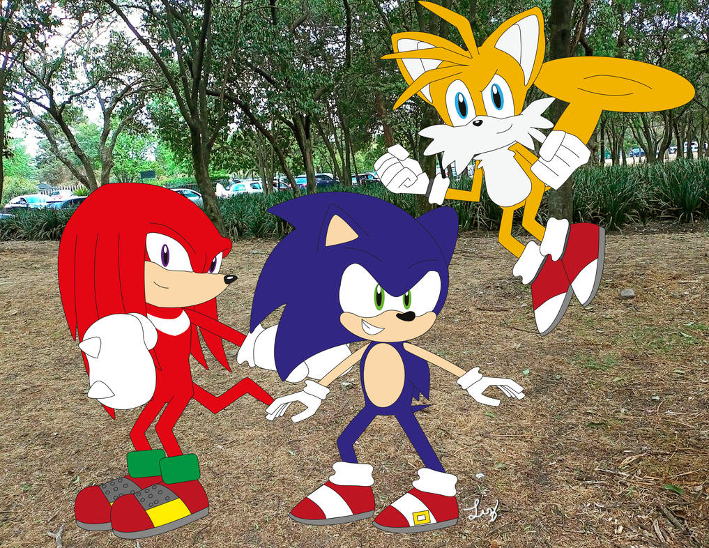 Team Sonic picnic spring 2022 by LuzFredericksonfirst on DeviantArt