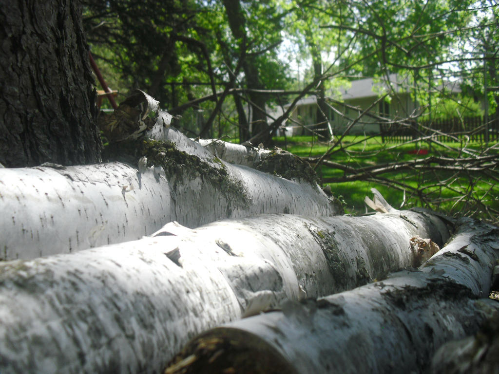 minnesota spring by jennazlouise on DeviantArt