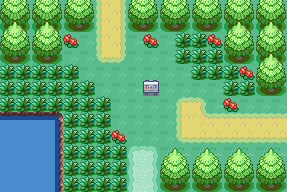 random pokemon route