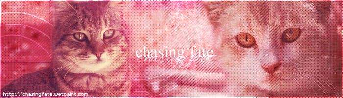 chasing fate banner II