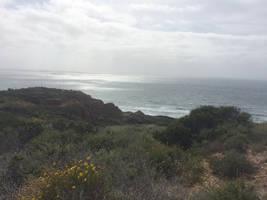 Ocean view #1