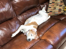 Beatrix Sleeping