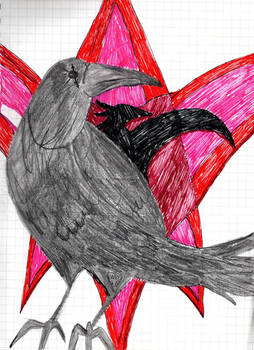 Raven