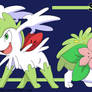 Shaymin Times Two