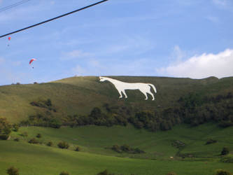 White Horse