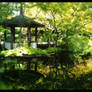 Japanese Garden 15