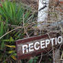 Reception - come on in