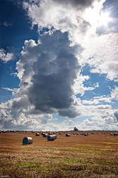 cumulus