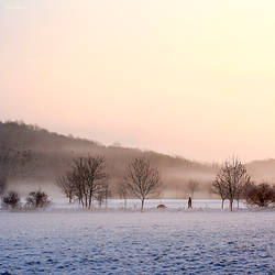 winter walk