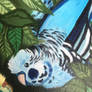 Blue Budgies Detail 2