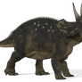 Diceratops_01