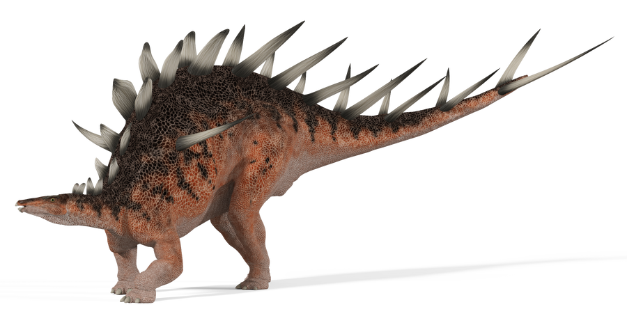 Kentrosaurus_01