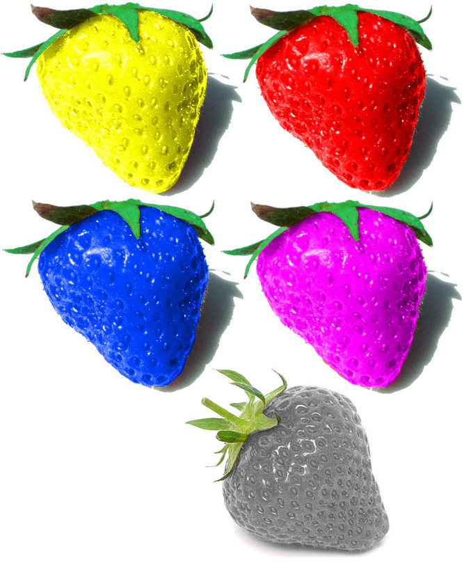 Magicberry Deviantart Magical Berries by MCsaurus on DeviantArt