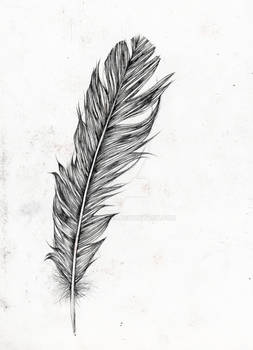 Feather