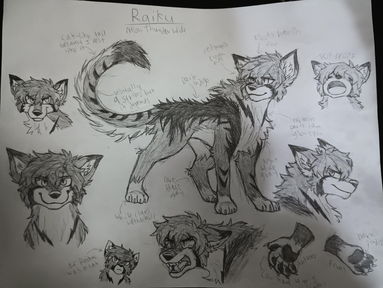 Raiku R306 Raiku Redesign Reference by DoggyFang on DeviantArt
