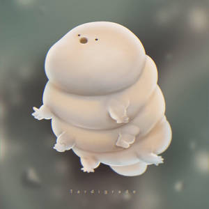 Tardigrade