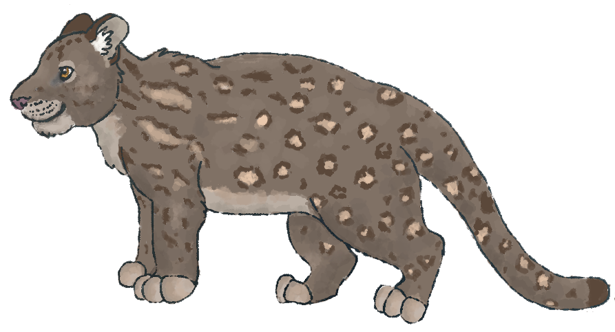 Kitua 1