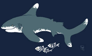 Shark Week 2012: Oceanic Whitetip