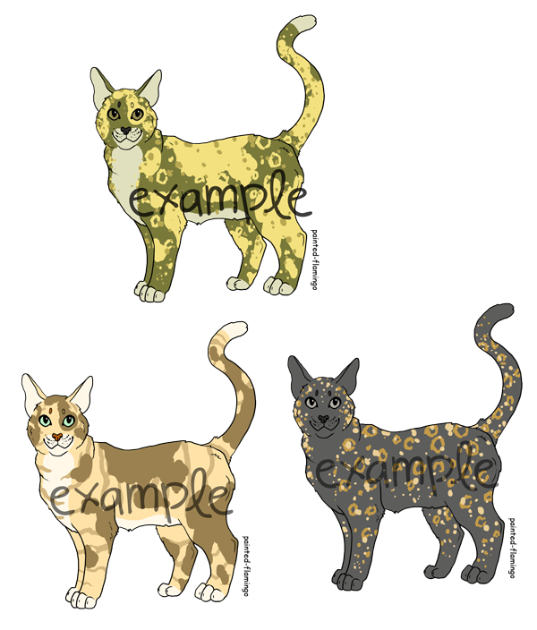 Cat Base Examples