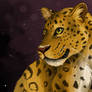 Chinese Leopard