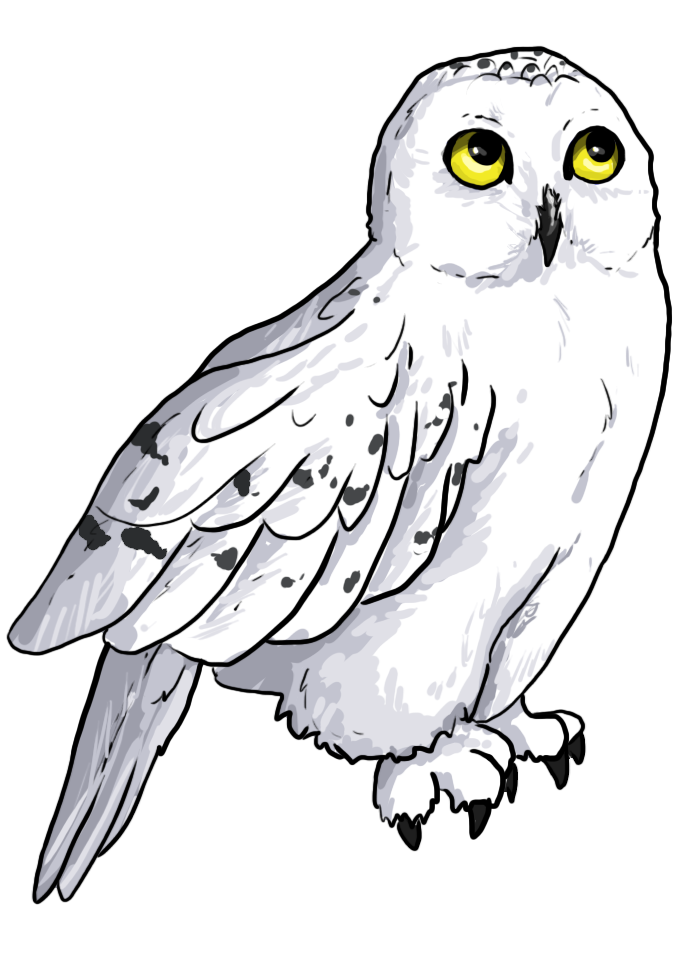 Hedwig