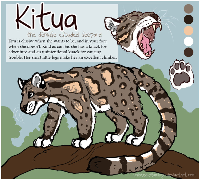 Kitu Beta Kitua Ref Sheet by painted-flamingo on DeviantArt