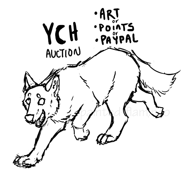 YCH auction - CLOSED